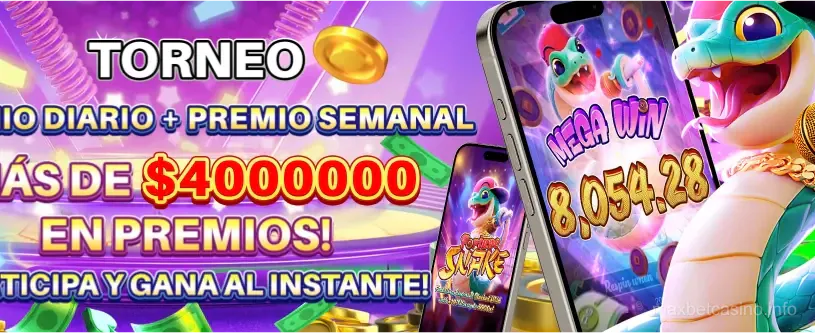 Maxbet casino - Juego profesional con tragamonedas premium
